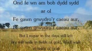 Y Caeau Aur  Gemma Markham geiriau  lyrics [upl. by Enilemme473]