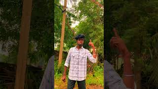 mark mayandi kalabhavan mani comedy tamilcomedy funny viralshort tamilmovie viralvideo entert [upl. by Nanfa]