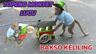 FUNNY MONKEY TOPENG MONYET LUCU BAKSO KELILING [upl. by Wilbert]