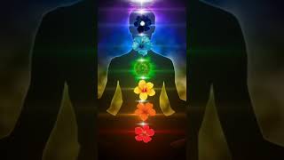 ✨ Cómo Alinear tus Chakras en Menos de 1 Minuto 🧘 energia elpoderdelequilibrio retodemeditacion [upl. by Christa]