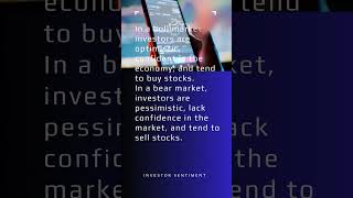 Bull Market VS Bear Market The Experts Guide To Investing [upl. by Esyle]