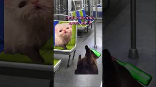 POV Le métro humour sketch catmemes pov chat [upl. by Wershba]