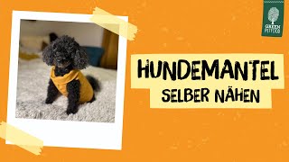 DIY  Hundemantel selber nähen  Einfache Anleitung für NähAnfänger [upl. by Netsud418]