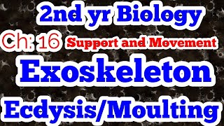 Exoskeleton complete  Ecdysis  moulting  ch 16  lec 2  2ndyrbio [upl. by Notsur]