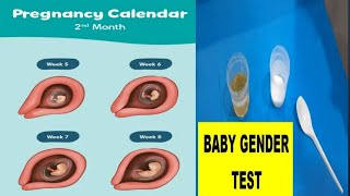 2 month pregnancy ରେ କେବେବି jender ଜଣାପଡିନି4 ରୁ 5 month ଭିତରେ test କର comments ଆସିଥିଲା ❓ [upl. by Wehrle]