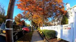 ⁴ᴷ⁶⁰ Walking Tour of Richmond Avenue Staten Island from Eltingville to Staten Island Mall [upl. by Nicodemus]