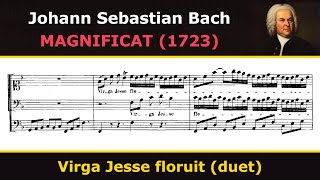 Bach  Magnificat  Virga Jesse floruit duet [upl. by Ysirhc648]