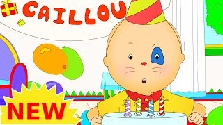 NEW CAILLOU BIRTHDAY PARTY  Videos For Kids  Funny Animated Videos For Kids [upl. by Curcio]