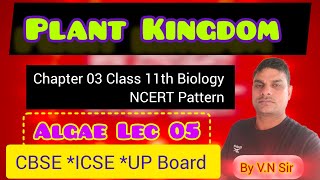 Class 11th Biology Lec 19 ll Chlorophyceae Pheophyceae and Rodophyceae ll V N Singh [upl. by Sasnak]