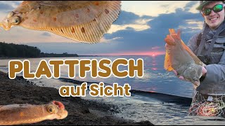 Fliegenfischen gezielt auf Plattfisch an der Ostsee [upl. by Wilda]