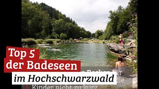 Die Top 5 Badeseen im Schwarzwald [upl. by Dyraj]