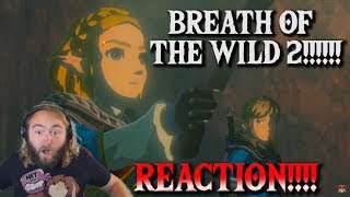 BREATH OF THE WILD 2 REVEAL REACTION I CRIED [upl. by Ling732]