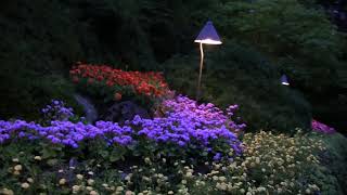 Butchart Gardens Virtual Tour [upl. by Shoifet247]