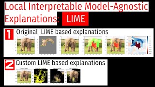 Just apply LIME to explain trust and validate your predictions for any ML model [upl. by Nylakcaj145]