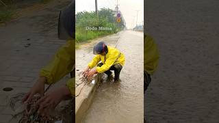 Clearing Storm Drains to Address Street Flooding shorts video viralvideo [upl. by Walston]