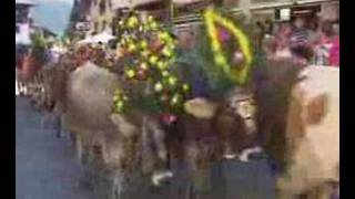 Traditioneller Almabtrieb in Söll Tirol [upl. by Hanaj]