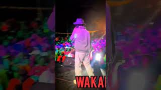 WAKADINALI mbogi rapmusic bar hiphopmusic rap freestylerap [upl. by Sion195]