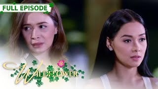 ENG SUB Ep 131  Wildflower  Maja Salvador Tirso Cruz III Aiko Melendez [upl. by Eelanaj]