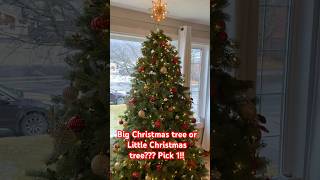 Big Christmas tree or Little Christmas tree Pick one christmas christmastree christmasmusic [upl. by Emie934]