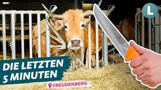 Schlachten direkt am Hof Das Schlachtmobil  WDR Lokalzeit LandSchafft [upl. by Fernandes]