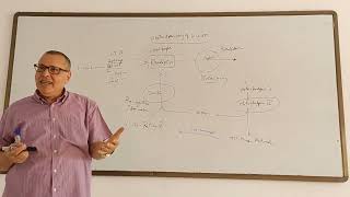 19 Photochemistry of vision [upl. by Bordiuk]