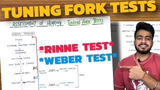 Assessment of Hearing  RINNE TEST  WEBER TEST  Auditory Pathway [upl. by Elorac]