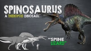 Spinosaurus Facts A Dinosaur Facts video about Spinosaurus the largest known carnivorous dinosaur [upl. by Alessandro]