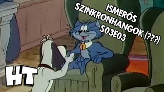 HungaroTOON BUMPER  Ismerős Szinkronhangok  S03E03 [upl. by Sihtnyc]