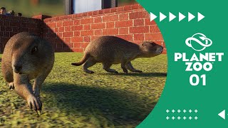 Planet Zoo Franchise  Building the Foundation Part 1 [upl. by Oloap]