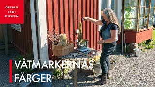 Våtmarkernas färger [upl. by Ahsekat667]