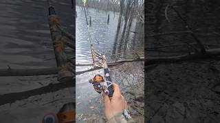 Fishing with Mini Profishincy pole😲 fishing outdoors [upl. by Aisul]