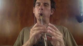 Waxies Dargle  Tin Whistle [upl. by Imat]