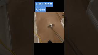 Carpet cleaning that delivers results fast 💪 CarpetDeepClean [upl. by Tracee]