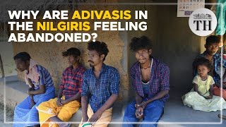 Why are Adivasis in the Nilgiris feeling abandoned  The Hindu [upl. by Ilojna]