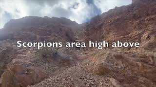 Trellis Canyon Scorpions Lost City Rock Fall April 2024 [upl. by Wilfred]