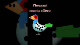 Pheasant sounds effects [upl. by Morgenthaler818]