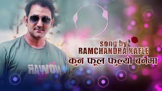 कुन फूल फुल्यो बर्नैमा  Ramchandra Kafle  Nepali Song [upl. by Jackquelin]