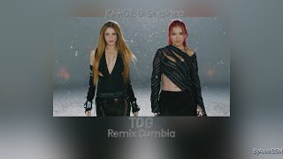 KAROL G Shakira  TQG  Remix Cumbia [upl. by Tomas56]