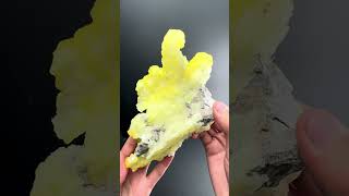 Brucite on Matrix from Pakistan  Fine Art Minerals  Brucite [upl. by Dnaleel752]