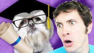 MY DOG WENT TO COLLEGE [upl. by Anawad]