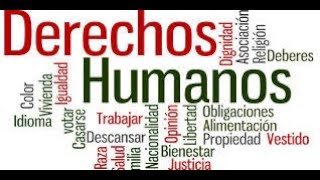 PRINCIPIOS RECTORES DE LOS DERECHOS HUMANOS [upl. by Michaeline]