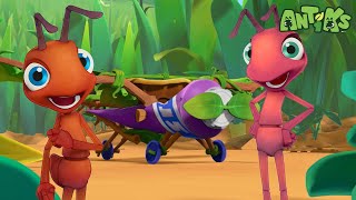 Ants ready to depart 🔴NEW EPISODE🔴 Funny Cartoons  Funny Videos for kids  ANTIKS 🐜🌿 [upl. by Attaynek]