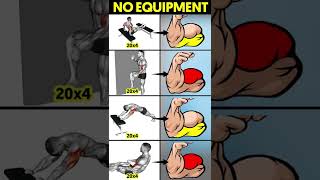 No equipment arm workout  Biceps Workout Without Equipment  No Equipment Workout [upl. by Annuhsal485]