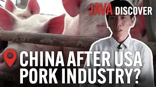 Is China Taking Over the US Pork Industry The Global Giants Destroying Pig Farming  Documentary [upl. by Jenks]