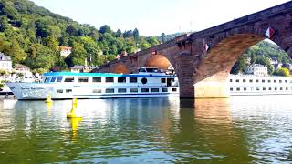 MS quotSwiss Crystalquot  zu Tal in Heidelberg [upl. by Delacourt]