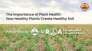 The Importance of Plant Health  How Healthy Plants Create Healthy Soil  AEA and ROA [upl. by Leis]