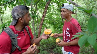 Aventura De Pesca Entre El Salvador Y Honduras [upl. by Varian740]