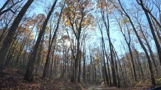 Parsons Branch and Tail of the Dragon to the Foothills Parkway 11 08 23 [upl. by Hightower]