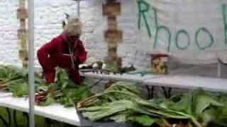 Grunty Fen Rhubarb Festival at Burwell Museum [upl. by Llenreb]