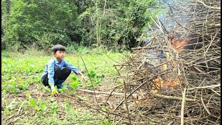 Homeless boy  do agriculture  The boy burned the sprinkles  rake the ground to plant corn [upl. by Artiek]